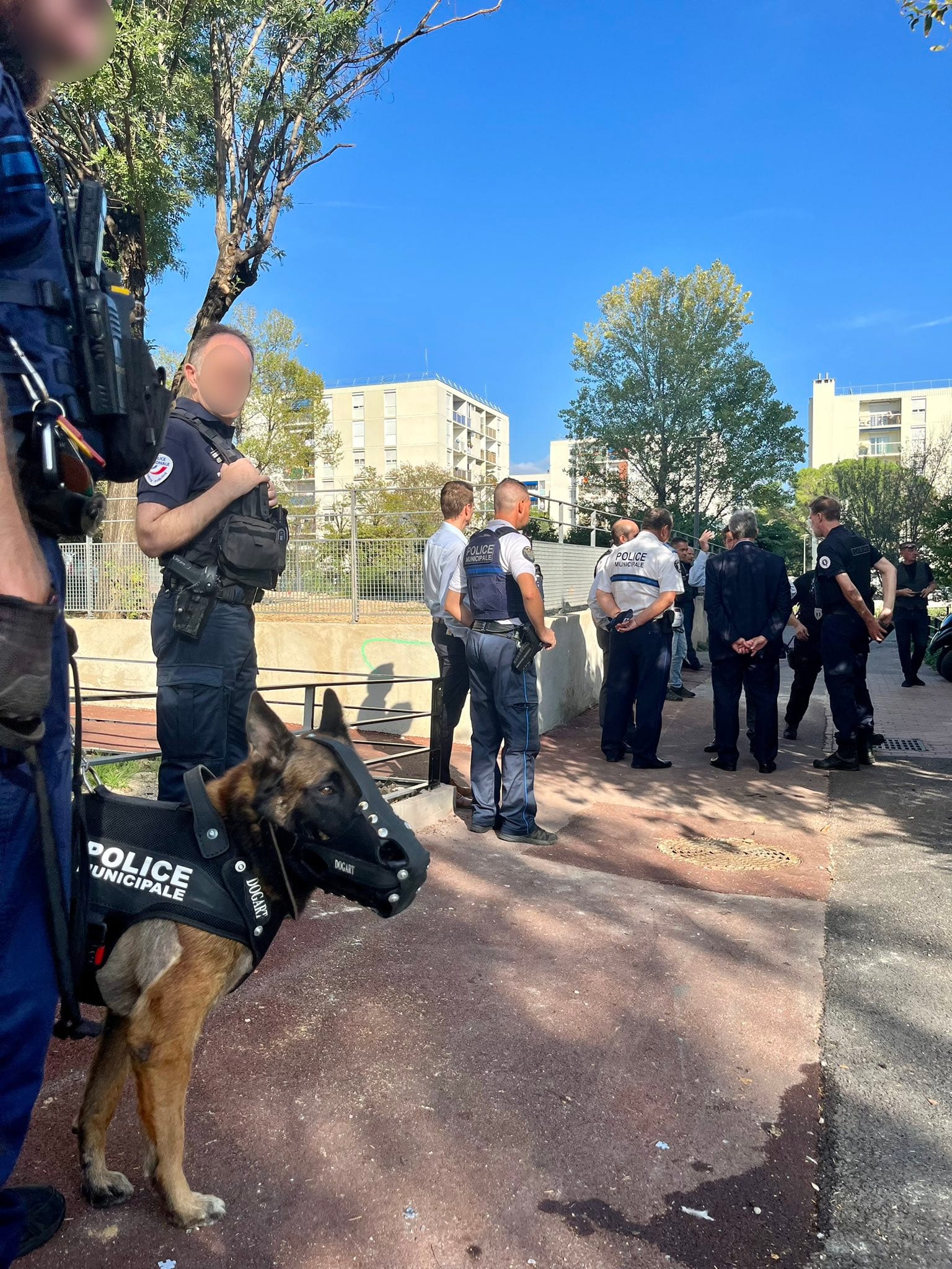 Sécurité : une nouvelle opération de police de grande envergure dans le quartier de La Frayère