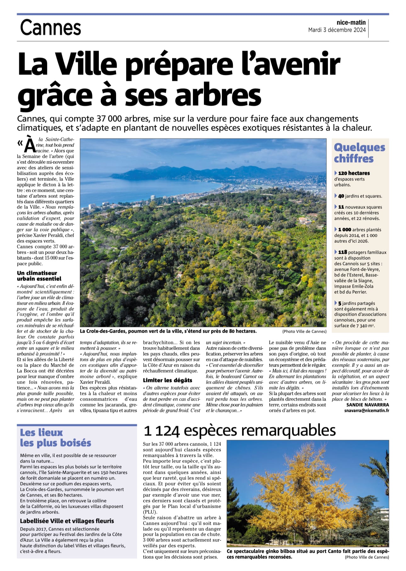 Cannes : la Ville prépare l'avenir grâce à ses arbres — illustration 1