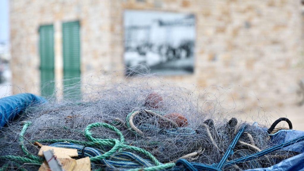 Le Conseil municipal de Cannes adopte une motion de soutien à la prud’homie de pêche de Cannes et aux pêcheurs professionnels de Méditerranée — illustration 1