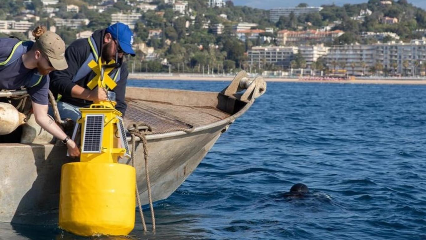 Préserver la Méditerranée : l’innovation au service de l’anticipation