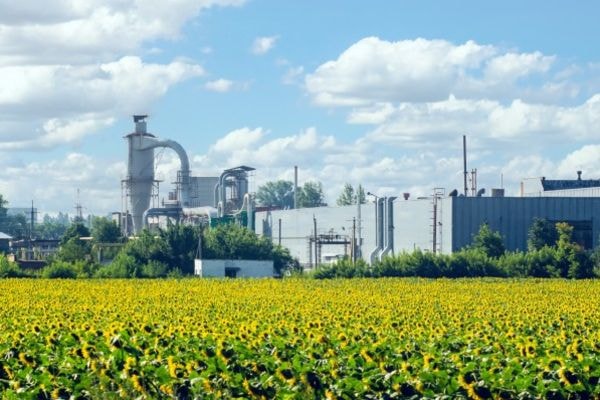 Décrets ZAN : l’AMF dénonce un frein à la réindustrialisation et saisit le Conseil d’Etat — illustration 1