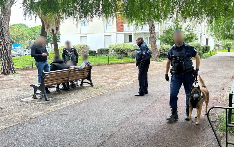 Cannes : nouvelle opération policière et judiciaire d'envergure à La Frayère — illustration 1