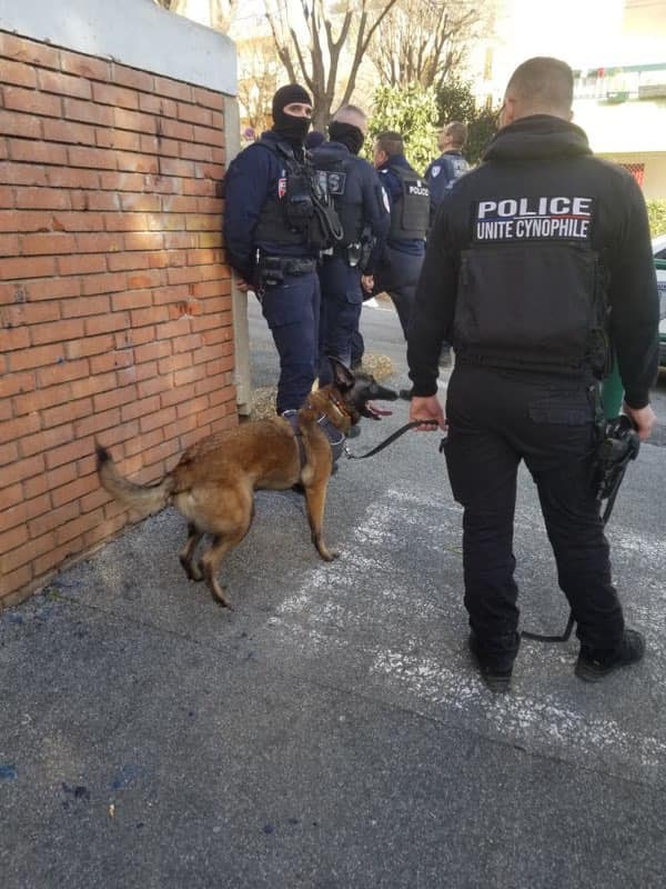 Interpellations, saisies : une opération de police d'envergure permet le démantèlement d'un réseau de trafiquants à Cannes — illustration 1