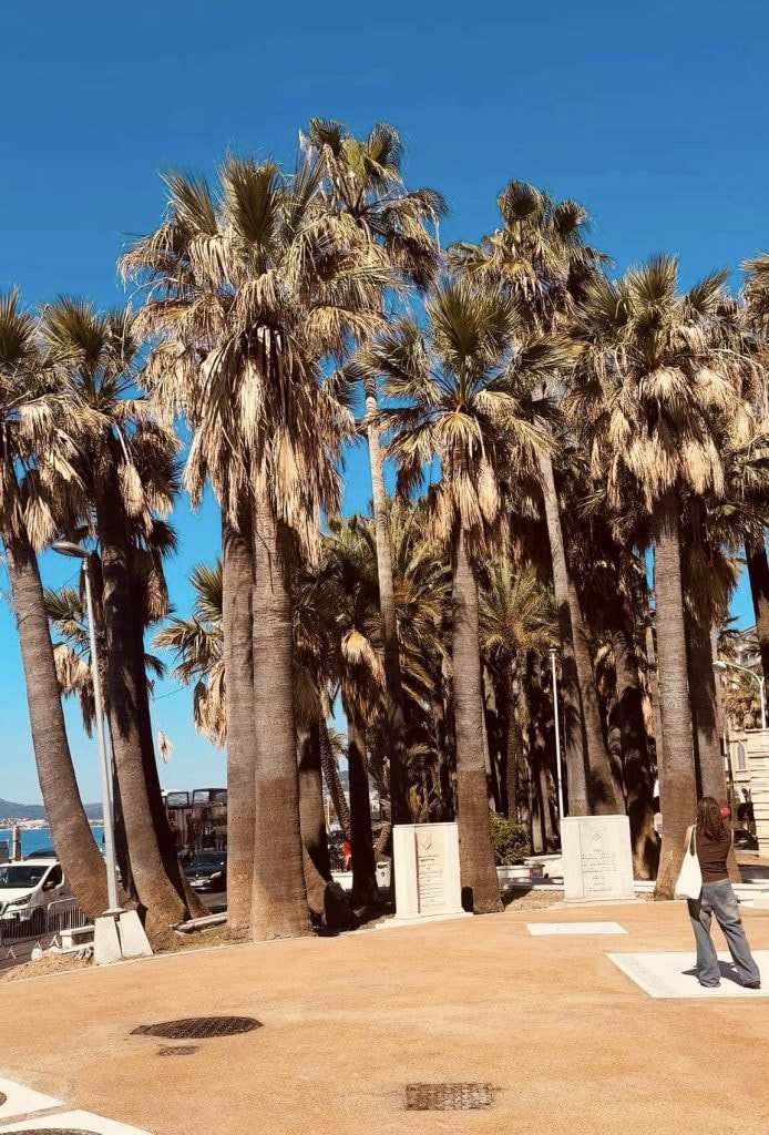 David Lisnard présente le nouveau poste de refoulement du square Leclerc à Cannes, un équipement à la pointe de la technologie — illustration 1