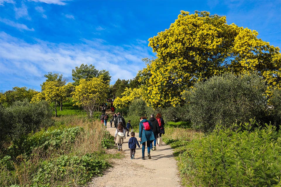 Rapport du Développement Durable 2022 de la Mairie de Cannes : une série d'actions concrètes pour inscrire Cannes dans un avenir positif, protéger l’environnement et aider les plus démunis