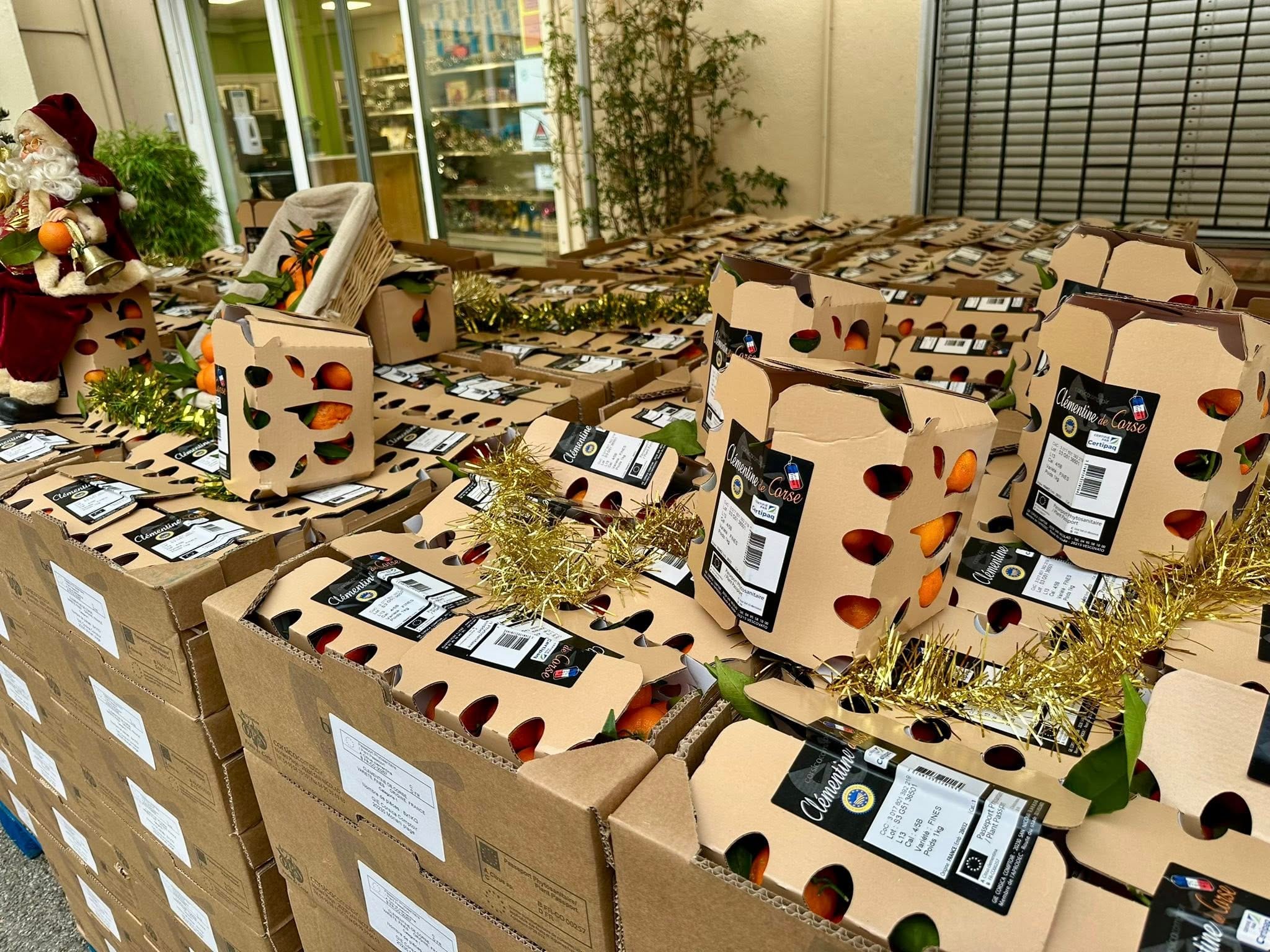 Solidarité : une distribution de clémentines devenue une tradition à Cannes